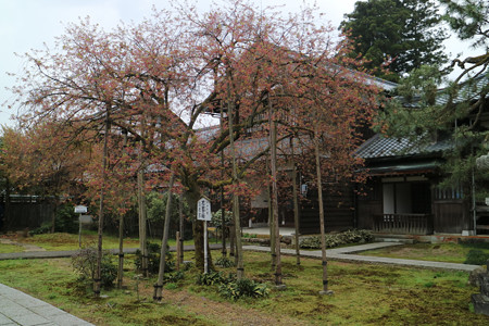 城福寺 (2)