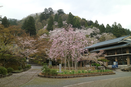 花筐公園 (2)