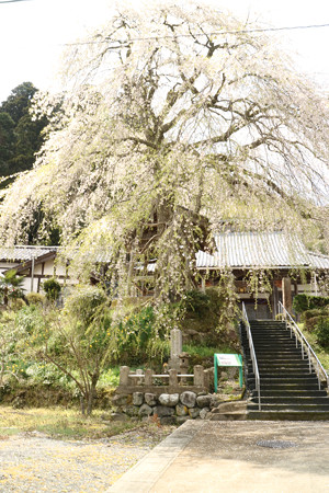 法華寺