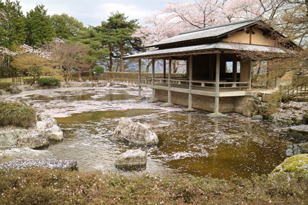 西山公園 (6)