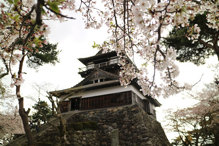 丸岡城 (1)