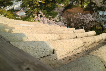 丸岡城 (4)
