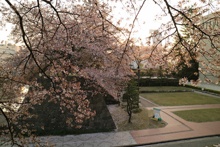 福井城 (19)