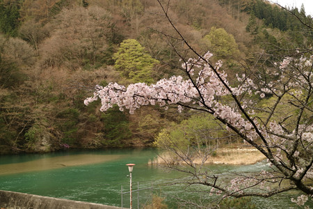 駒場ダム