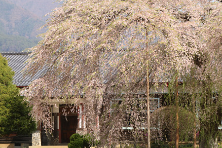 杵原学校 (3)