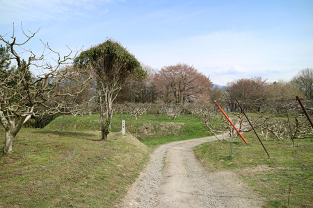 松岡城 (5)