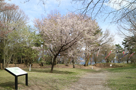 松岡城 (8)