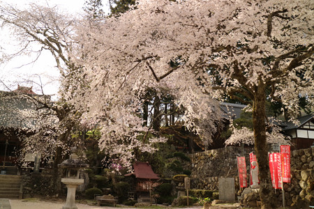 瑠璃寺 (3)