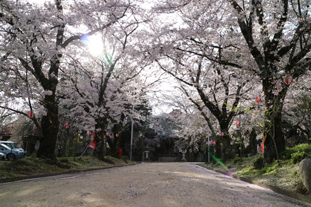 瑠璃寺 (5)