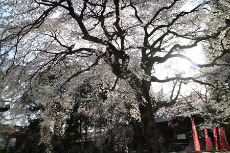 瑠璃寺 (6)