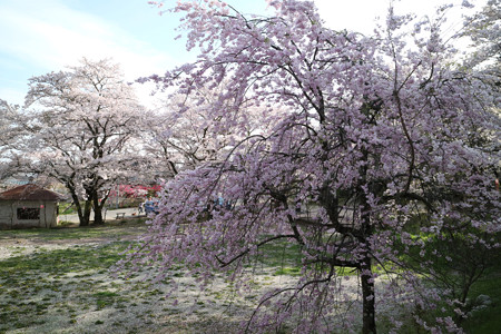 瑠璃寺 (7)