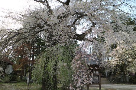 瑠璃寺 (9)
