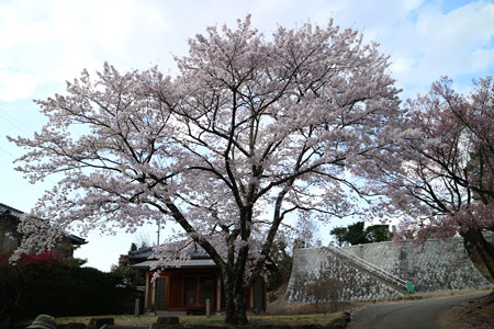 蔵澤寺 (3)