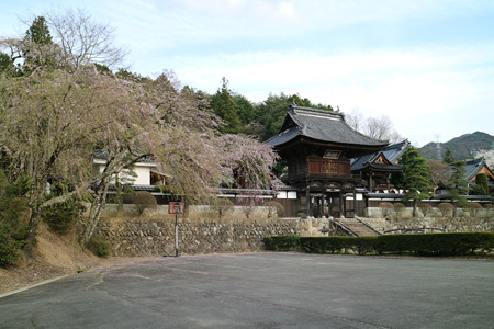 蔵澤寺 (5)