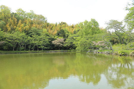 内山永久寺