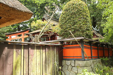 夜都伎神社 (1)