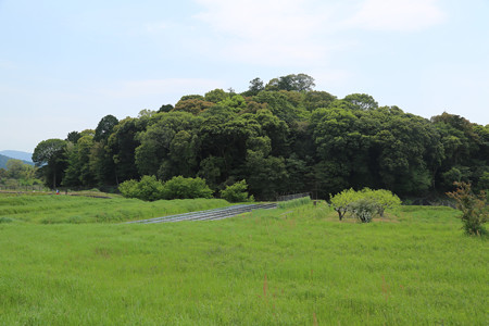 景行天皇陵（渋谷向山古墳）
