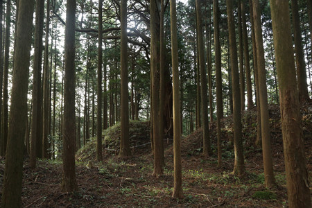 古宮城 (4)