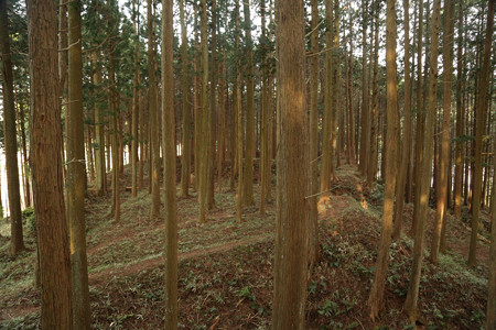 古宮城 (5)