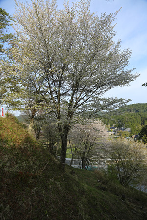 亀山城 (6)