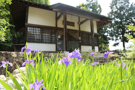 大福寺 (1)