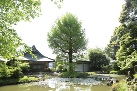 大福寺 (5)