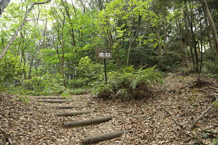 千頭峯城