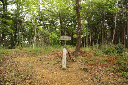 大平城 (1)