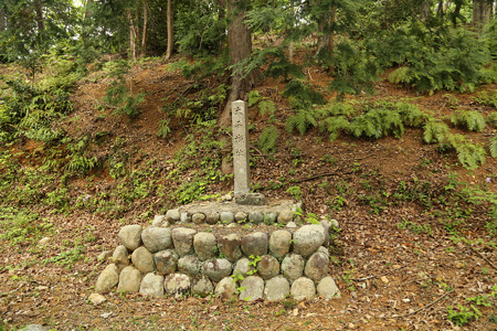 大平城 (5)