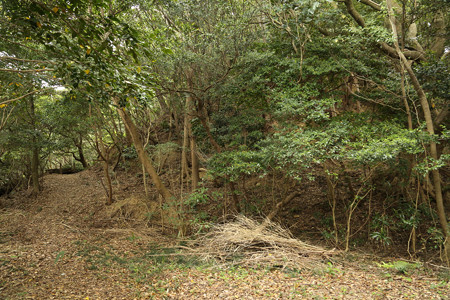 三井山砦 (4)