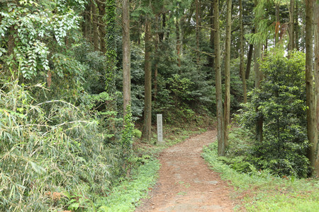 勝間田城