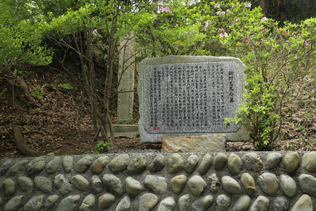 左馬武神社（新野左馬助親矩の墓） (4)
