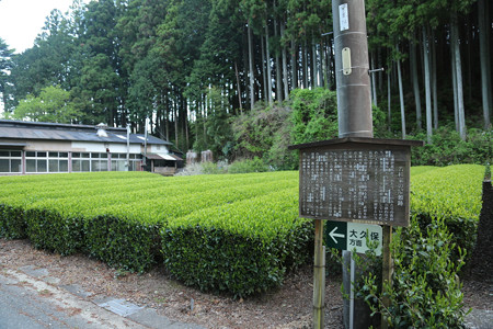 若杉家の屋敷跡