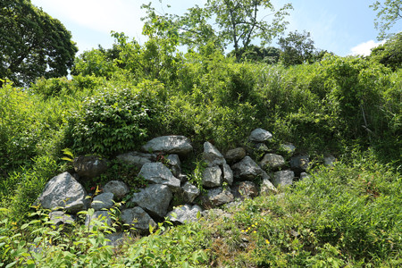水口岡山城