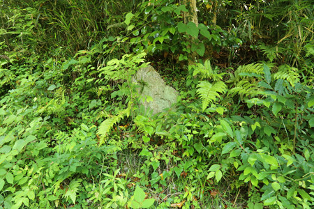 水口岡山城 (1)