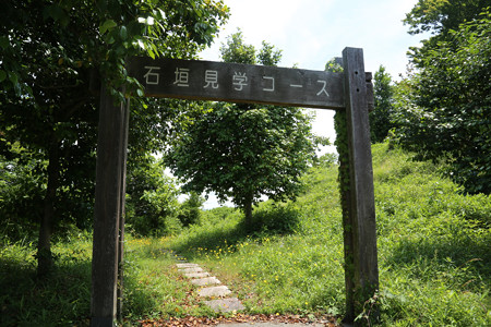 水口岡山城 (6)