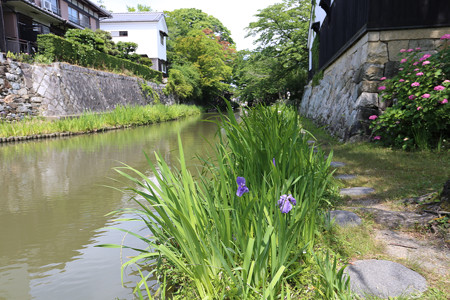 八幡堀 (2)