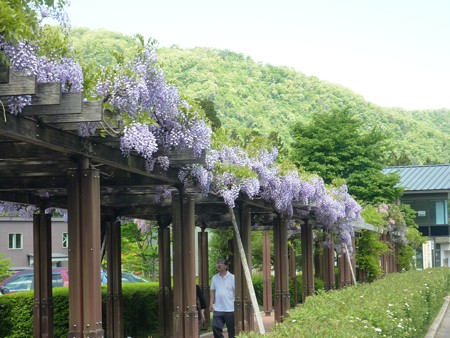 5－吉岡園地の花