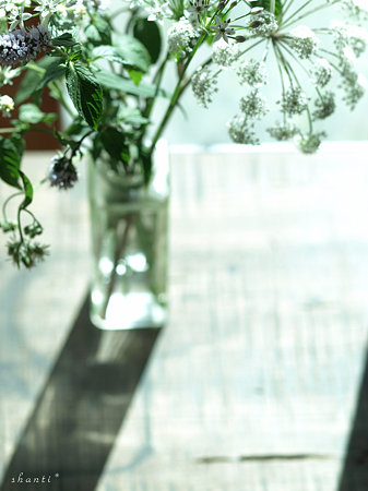 野の花をいける