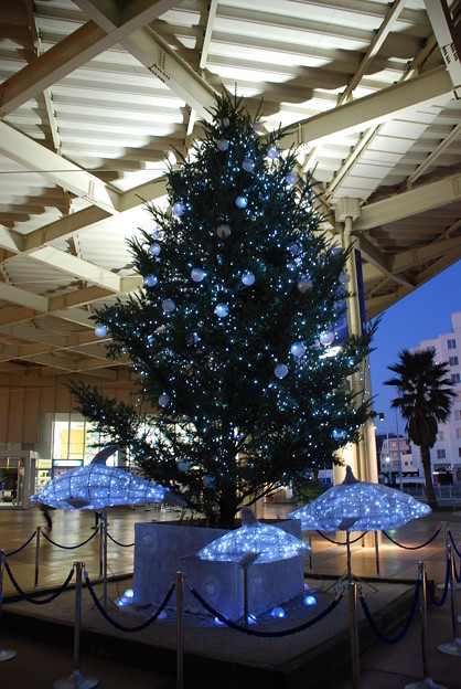 Photos: DSC_0104