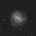 Photos: M83　南の回転花火銀河