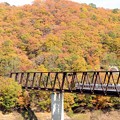 紅葉の湯西川橋梁を渡る6050系