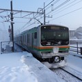 Photos: 宇都宮線E231系 雪 ヘッドーマーク付き