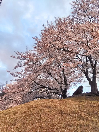 P_20170413_174600_HDR