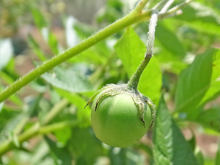 R0034144