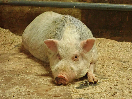 P9110055