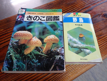 P9230253