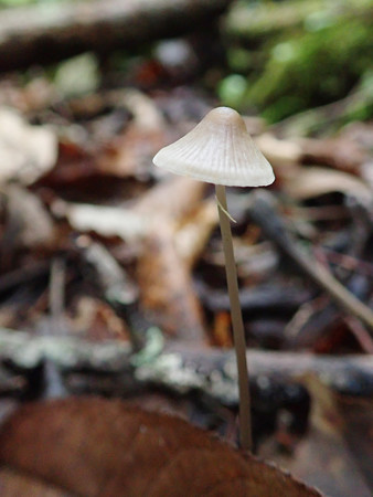P9230213