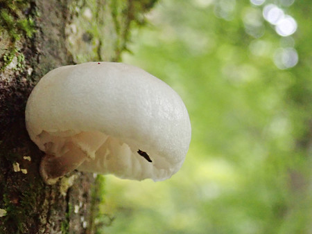 P9230220