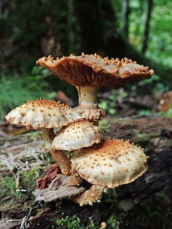 P9230238